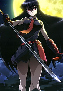 czarnowłosa dziewczyna postać z anime ilustracja, Akame, Akame ga Kill !, anime girls, Tapety HD HD wallpaper