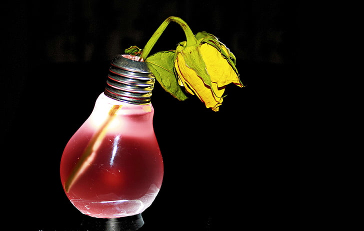 black, colorful, current, e27, electric, electro smoke, experiment, glass, lamp, light, light bulb, lighting, pear, red, rose, unhealthy, withered, yellow, HD wallpaper