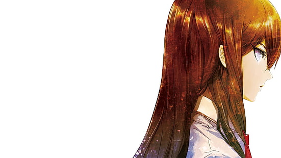 애니메이션 소녀들, 애니메이션, 긴 머리, Steins; Gate, Makise Kurisu, HD 배경 화면 HD wallpaper