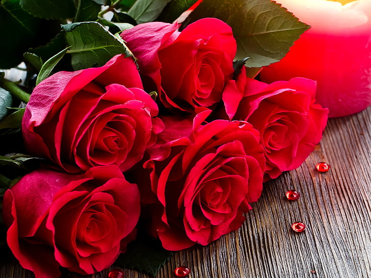 Bouquet, red roses, flowers close-up, five red roses, Bouquet, Red, Roses, HD  wallpaper | Wallpaperbetter