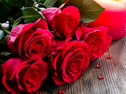 Bouquet, rose rosse, fiori close-up, cinque rose rosse, bouquet, rosso, rose, fiori, Sfondo HD HD wallpaper