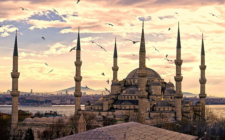 moské, Istanbul, Turkiet, Sultan Ahmed-moskén, Islam, arkitektur, stadsbild, himmel, fåglar, HD tapet