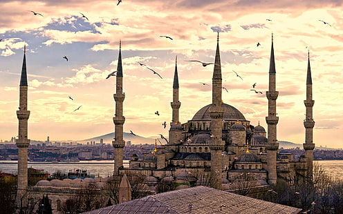 モスク、イスタンブール、トルコ、スルタンアーメドモスク、イスラム教、建築、都市景観、空、鳥、 HDデスクトップの壁紙 HD wallpaper