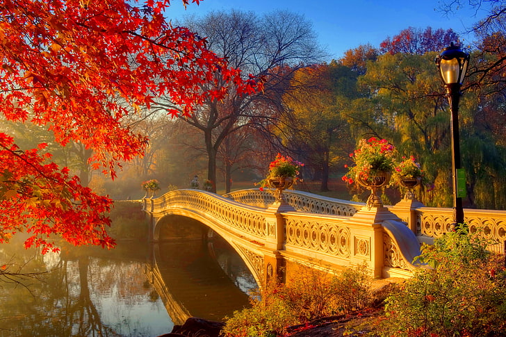 jembatan beton abu-abu, musim gugur, matahari, pohon, bunga, jembatan, kabut, Taman, pagi, lampu, sungai, Wallpaper HD