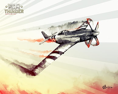 War Thunder видеоигры обои, самолет, самолет, война, Вторая мировая война, War Thunder, североамериканский P-51 Mustang, HD обои HD wallpaper