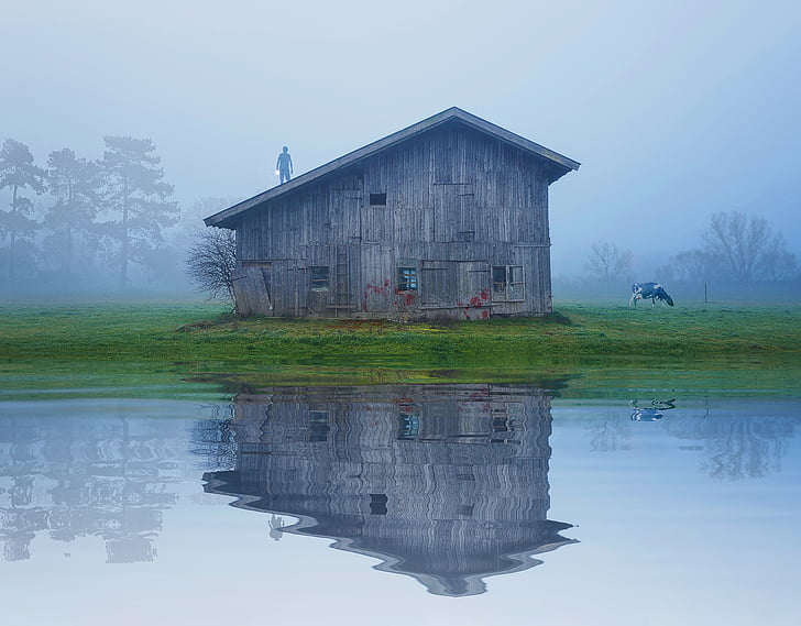 Scheune, Kuh, Nebel, See, Spiegelung, Fackelschein, 5K, HD-Hintergrundbild