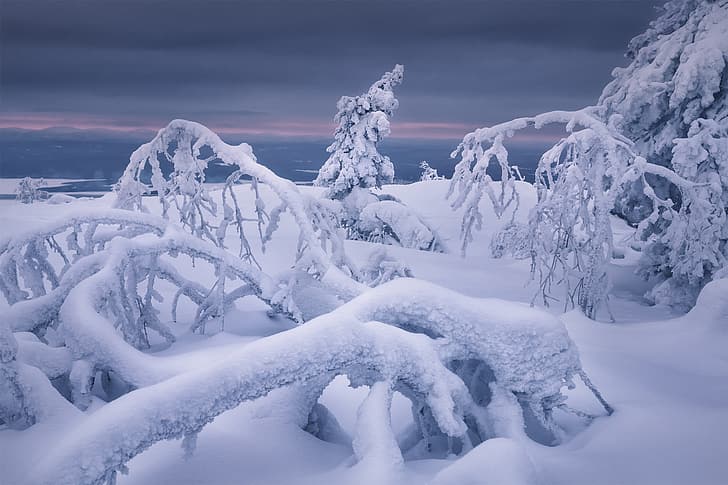 dingin, musim dingin, alam, es, Wallpaper HD