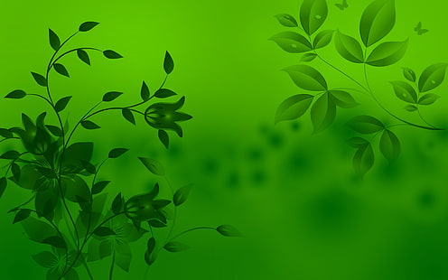 green flowers illustration, patterns, leaves, light, background, HD wallpaper HD wallpaper