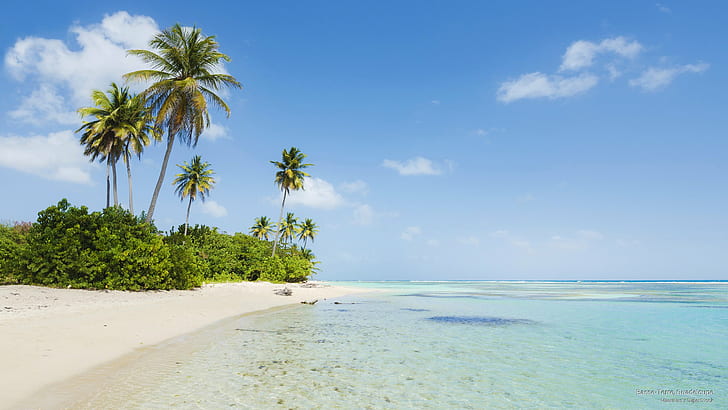 Basse-Terre, Guadeloupe, Kepulauan, Wallpaper HD