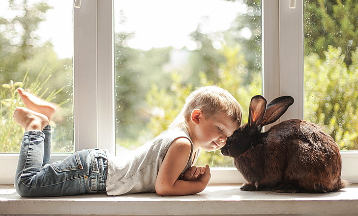 love, mood, boy, rabbit, window, friendship, friends, on the windowsill, HD wallpaper
