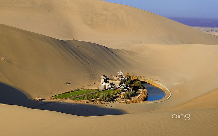naturaleza, duna, Bing, oasis, Fondo de pantalla HD