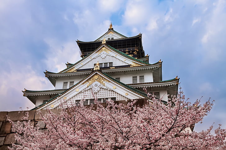 ปราสาท, ปราสาทโอซาก้า, ดอกซากุระ, ญี่ปุ่น, ซากุระ, ฤดูใบไม้ผลิ, วอลล์เปเปอร์ HD
