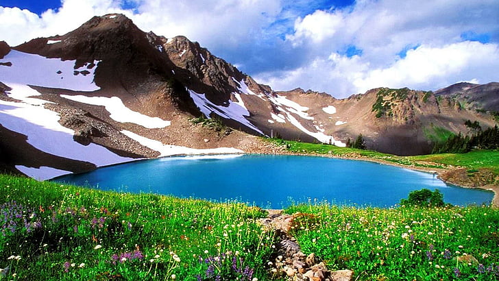 campo, prado, flores silvestres, primavera, lago de montanha, lago glaciar, vale do swat, swat, lago godar, montanha, cenário de montagem, lagoa, lago, lago godur, paquistão, HD papel de parede