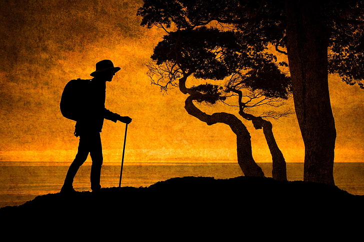 trees, silhouette, tourist, The Hiker, HD wallpaper
