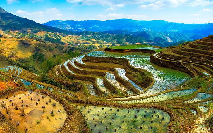 China, terraces, water, mountains, beautiful scenery, China, Terraces, Water, Mountains, Beautiful, Scenery, HD wallpaper