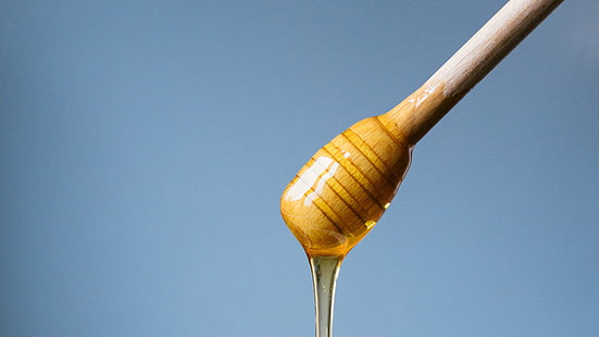 photography, honey, honey spoon, honey wand, honey dipper, HD wallpaper HD wallpaper