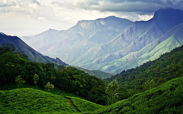 zielone pasmo górskie, niebo, góry, Indie, Munnar, plantacje herbaty, Tapety HD