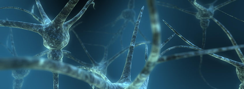 Neuron, tapeta cyfrowa nerwów, artystyczna, abstrakcyjna, neuron, Tapety HD HD wallpaper