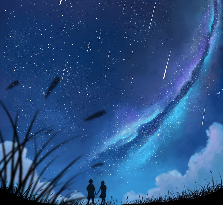 meteor shower illustration, silhouettes, couple, stars, grass, art, HD wallpaper