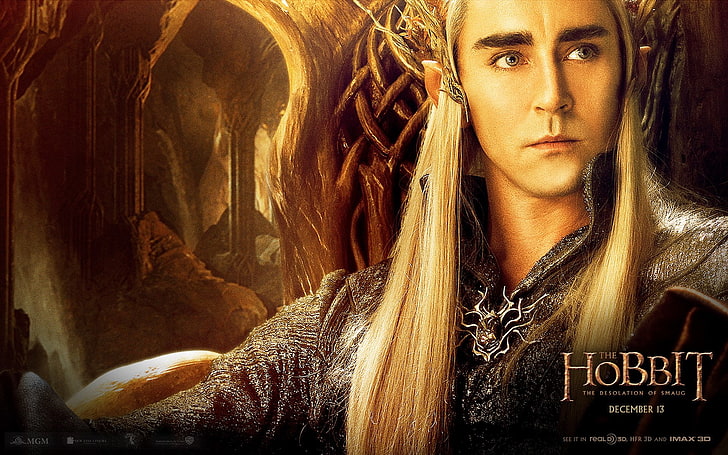 Movie, The Hobbit: The Desolation Of Smaug, HD wallpaper | Wallpaperbetter