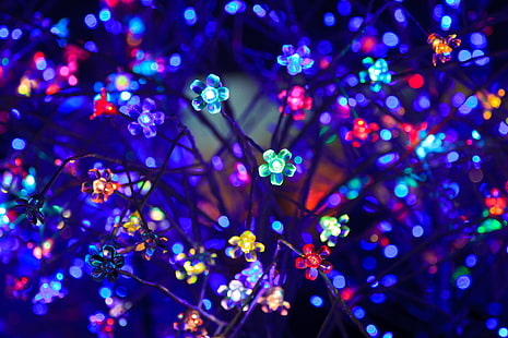 ampoules, fleurs, néon, lumière, éclairage, éblouissement, bokeh, coloré, Fond d'écran HD HD wallpaper
