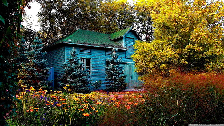 casa di legno blu, casa, alberi, fiori, Sfondo HD