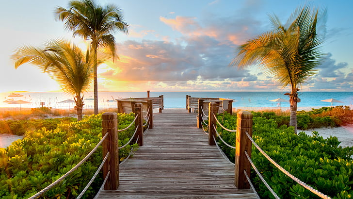 caminho de madeira marrom que leva ao oceano entre palmeiras, Ilhas Turks e Caicos, 5k, papel de parede 4k, melhores praias de 2017, turismo, resort, férias, viagens, nuvens, céu, mar, oceano, palmeiras, HD papel de parede
