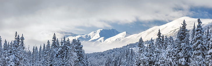 Kenai Mountains, trees, thick snow, Chugach National Forest, Alaska, USA, Kenai, Mountains, Trees, Thick, Snow, Chugach, National, Forest, Alaska, USA, HD wallpaper