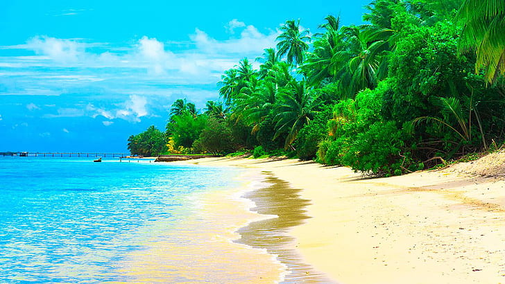 Malediven Summer Resort Meer Sandstrand Kokospalmen Wellen Desktop-Hintergründe Hd 1920 × 1080, HD-Hintergrundbild