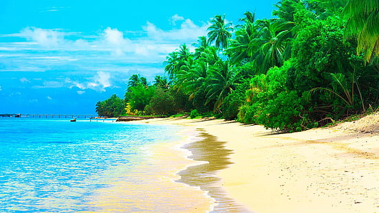 Летен курорт Малдиви Морски пясъчен плаж Кокосови дървета Вълни Тапети за десктоп Hd 1920 × 1080, HD тапет HD wallpaper
