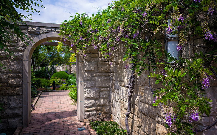 braune Betonmauer, Bogen, Garten, Hof, Blumen, Sommer, solar, HD-Hintergrundbild