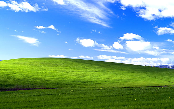 Windows XP Bliss HD, natur, landskap, windows, xp, lycka, HD tapet