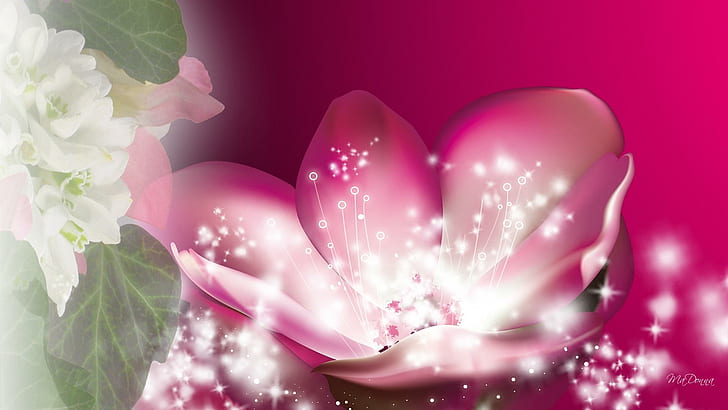 Magical Sparkle Flower, pink flower with light illustration, stars, magical, flower, bright, sparkle, pink, spring, summer, glow, 3d and abstract, HD wallpaper