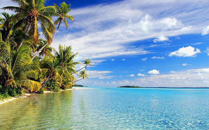 Красивый пляж с песком, зеленые пальмы, прозрачная морская вода Обои Hd 1467356, HD обои
