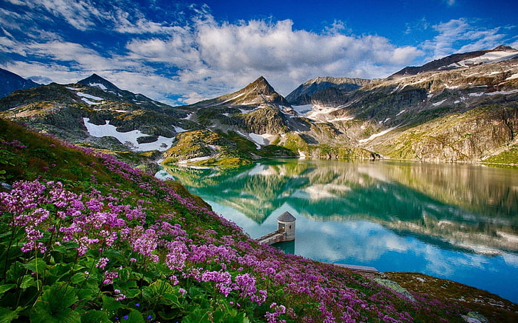 rosa Blumenlos, Landschaft, Berge, See, Blumen, Reflexion, Natur, HD-Hintergrundbild