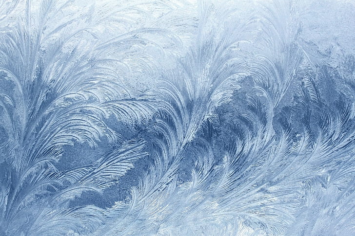 indah, embun beku, es, pola, tekstur, musim dingin, Wallpaper HD