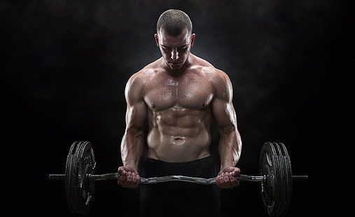 Motivazione di bodybuilding, bilanciere nero e grigio, sport, fitness, motivazione, muscoli, Sfondo HD HD wallpaper