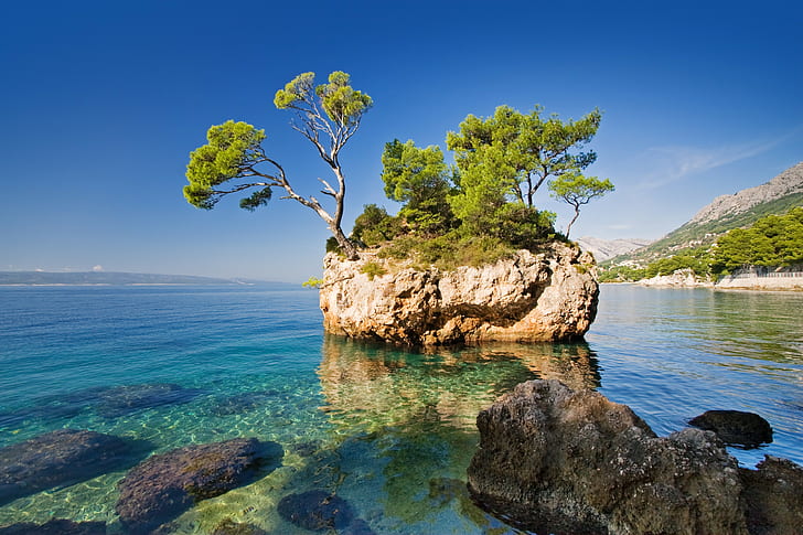 Árbol en gran roca en el mar, la naturaleza, el mar, la roca, un árbol, Naturaleza Hd, Descargar, Nuevo s, Fondo de pantalla HD