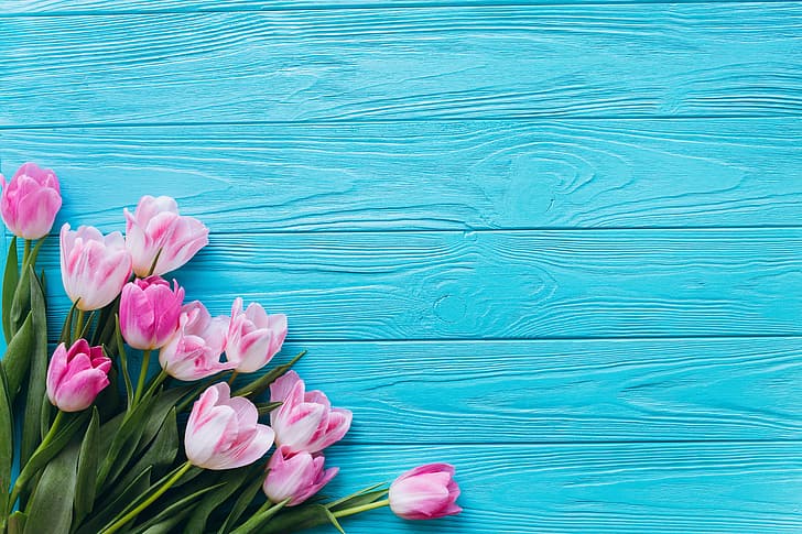 fiori, tulipani, rosa, fresco, legnoso, bello, primaverile, tenero, Sfondo HD