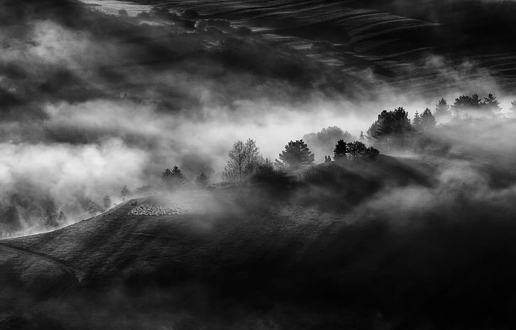 черно-белый меховой коврик, природа, пейзаж, монохромный, туман, вид с воздуха, деревья, поле, HD обои
