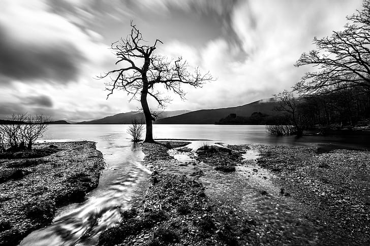 grayscale photography of black tree near body of water during daytime, lomond, scotland, lomond, scotland, Lock, Lomond, Scotland, Landscape photography, grayscale, black, tree, body of water, daytime, konica minolta, rocks, landscape, fullframe, united kingdom, nature, ultra, a7, blackandwhite, lake, weather, bw, clouds, long exposure, beach, travel, motion  photography, sony a7, sky  uk, europe, geotagged, england, outdoors, water, HD wallpaper
