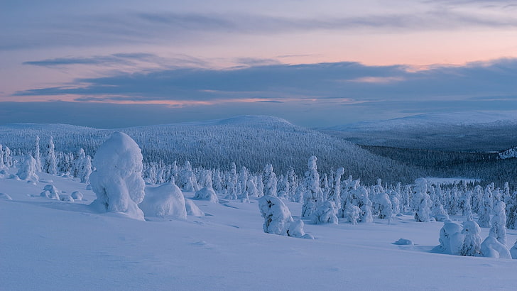 winter, freezing, snow, arctic, ice, sky, ice cap, frost, mountain, terrain, tundra, HD wallpaper