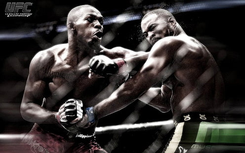 UFC, ultah, pertarungan, kejuaraan, tinju, Wallpaper HD HD wallpaper