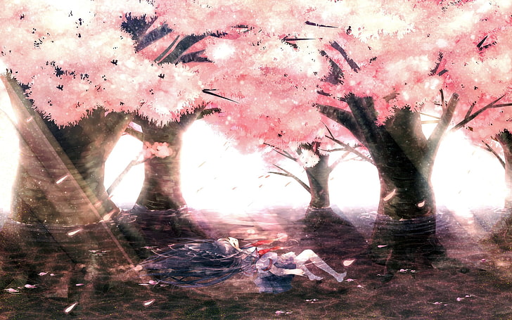 lukisan bunga sakura, pemandangan, Bersantai, anime, Wallpaper HD