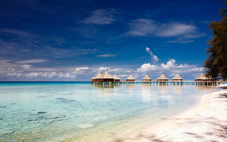 Malediwy plaża, atole, wyspa, plaża, Polinezja Francuska, natura, krajobraz, morze, chmury, tropikalny, niebo, bungalow, kurort, lato, piasek, drzewa, wakacje, Tapety HD