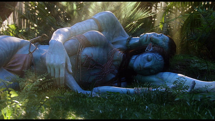Avatar, Grass, Hug, Jake Sully, Na'vi, Nature, Neytiri (Avatar), Sleeping, HD wallpaper