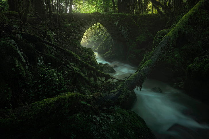 Dunkel, Natur, Holz, Pflanzen, Wasser, Brücke, Grün, Moos, Fluss, tiefer Wald, Wald, Bogen, HD-Hintergrundbild