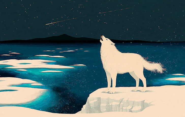 حيوان ، ذئب القطب الشمالي، خلفية HD