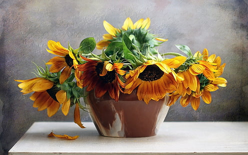 Букет цветя, слънчогледи, натюрморт, Букет, цветя, слънчогледи, натюрморт, живот, HD тапет HD wallpaper