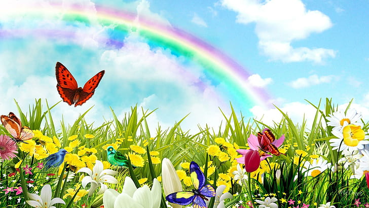 Rainbow Surprises, arcoiris, flores, primavera, pájaros, campo, mariposas, verano, nubes, naturaleza y paisajes, Fondo de pantalla HD